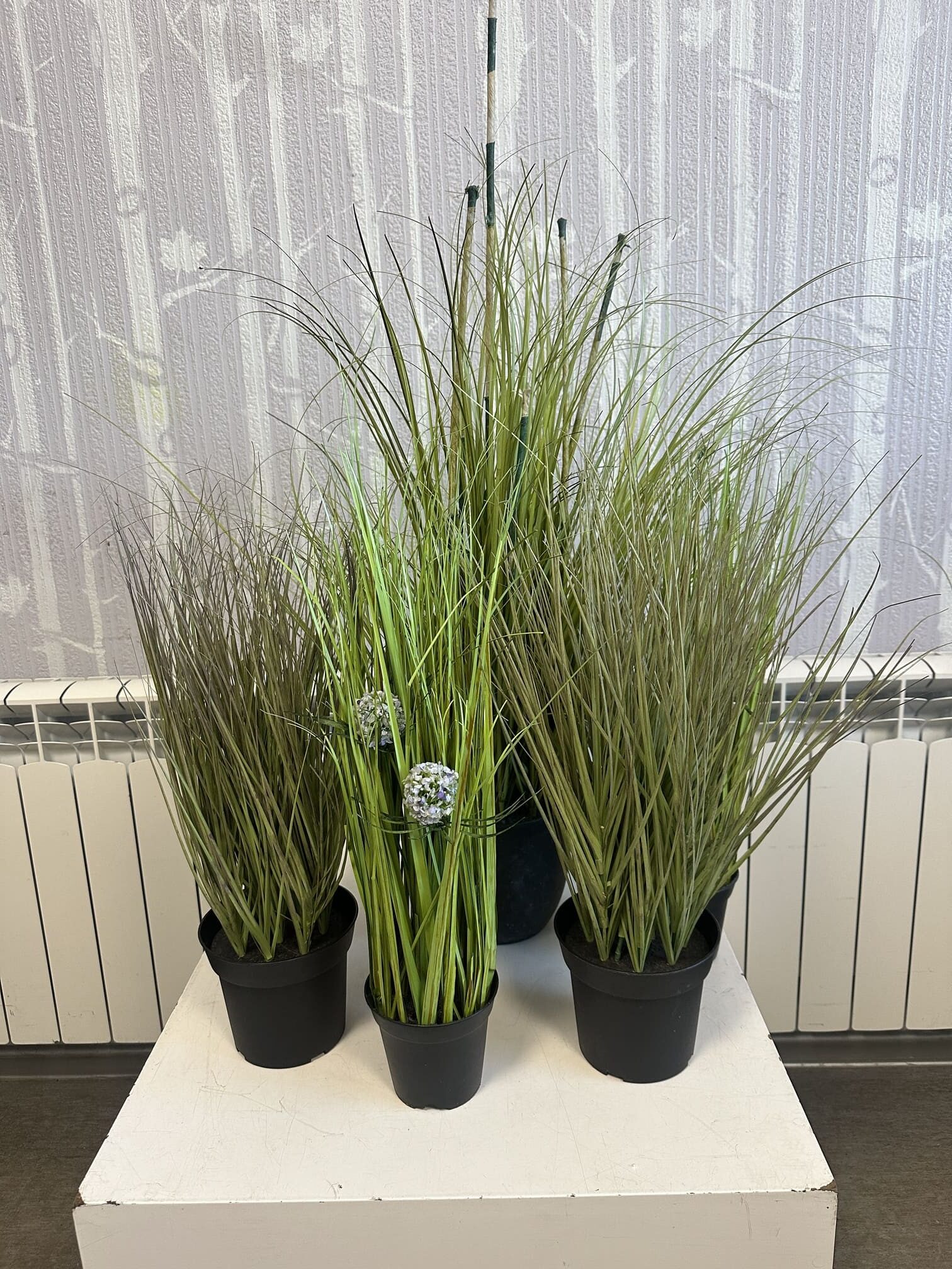Komplekt kunsttaimed / dekoratiivsed kõrrelised pottides