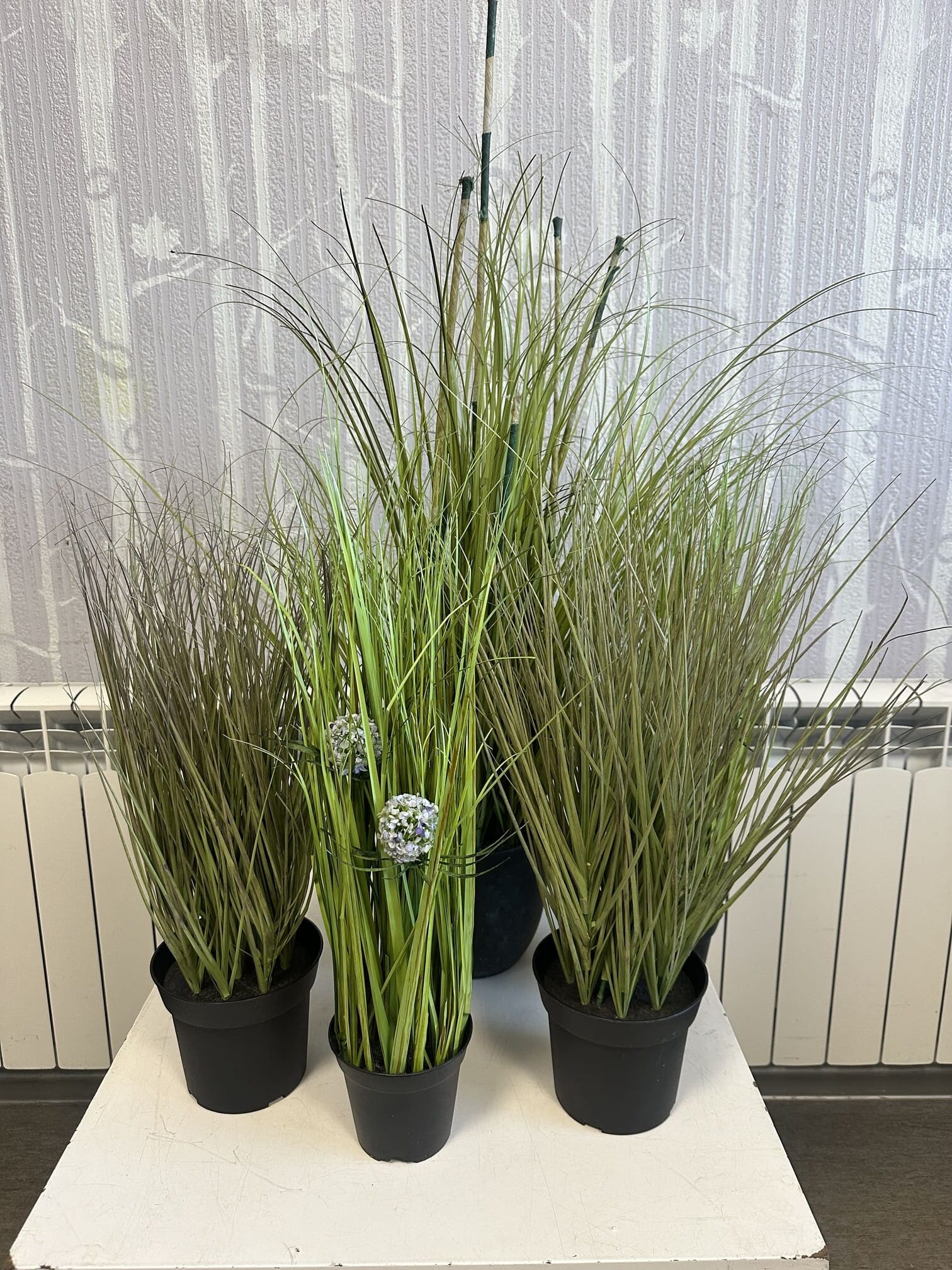 Komplekt kunsttaimed / dekoratiivsed kõrrelised pottides - Pilt 2