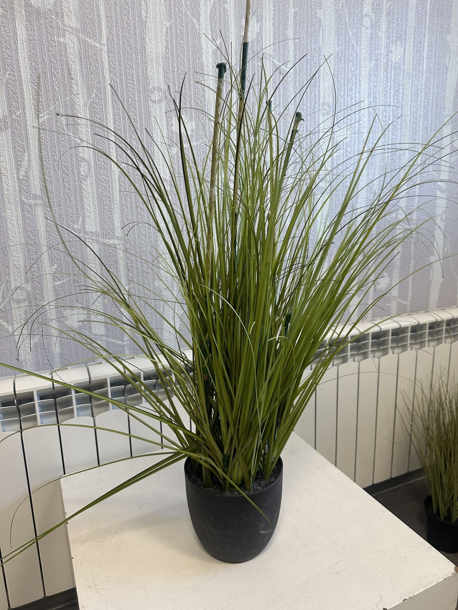 Komplekt kunsttaimed / dekoratiivsed kõrrelised pottides - Pilt 5
