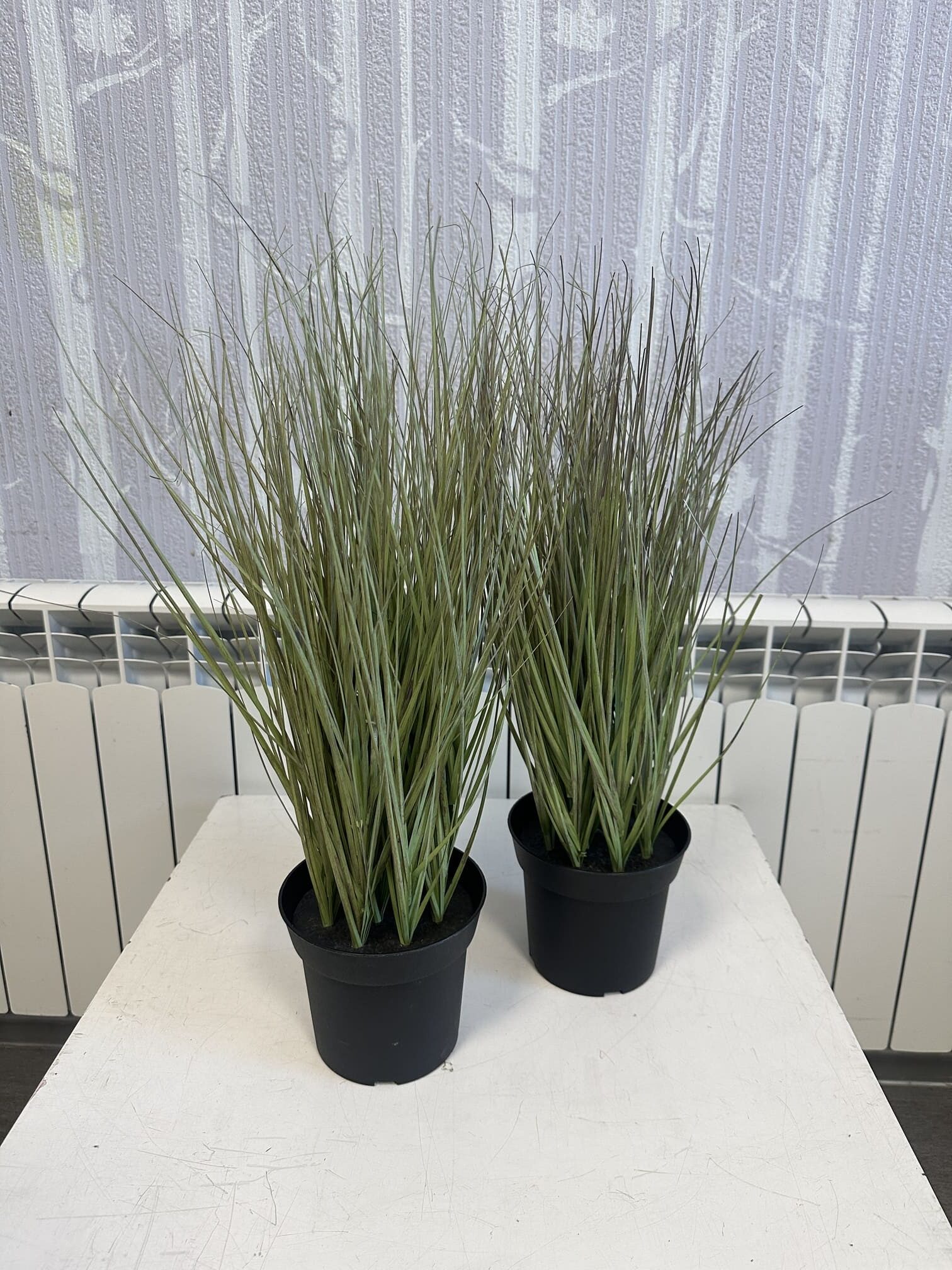 Komplekt kunsttaimed / dekoratiivsed kõrrelised pottides - Pilt 6